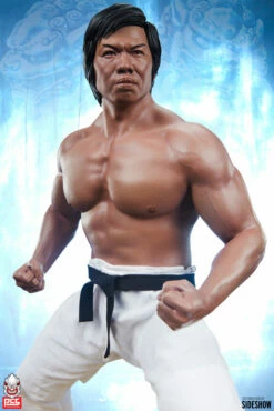 Bolo Yeung: Jeet Kune Do Tribute