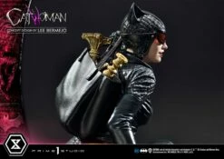 Catwoman (Deluxe Version) -Model Figures Sales Shop catwoman dc comics gallery 62e44fc26b944 1