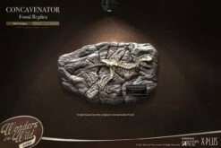 Concavenator Deluxe -Model Figures Sales Shop fossil pre historic creatures gallery 61310be6a5eeb