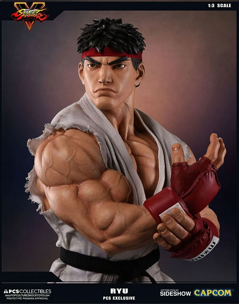 Ryu Evolution 4 Ryu Evolution - Image 2