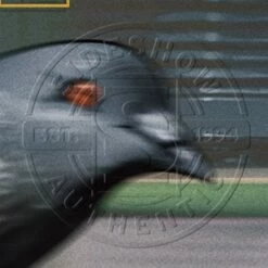 The Amazing Spider-Man -Model Figures Sales Shop the amazing spider man marvel gallery 63c9b420197fb