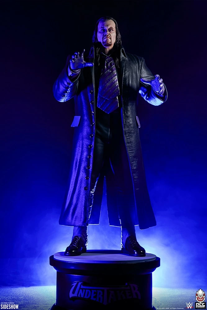 The Undertaker: Summer Slam '94 7 The Undertaker: Summer Slam '94 - Image 5