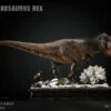 Tyrannosaurus Rex -Model Figures Sales Shop tyrannosaurus rex gallery 636be73249ce4