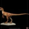 Velociraptor 1 Velociraptor -Model Figures Sales Shop velociraptor jurassic park gallery 626c1bdf67659